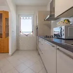 Cozy In * زادار