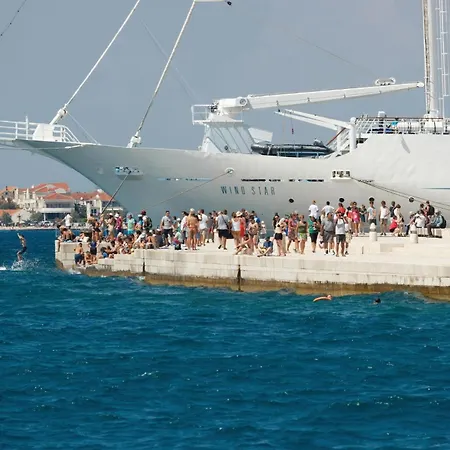 Cozy In 아파트 자다르